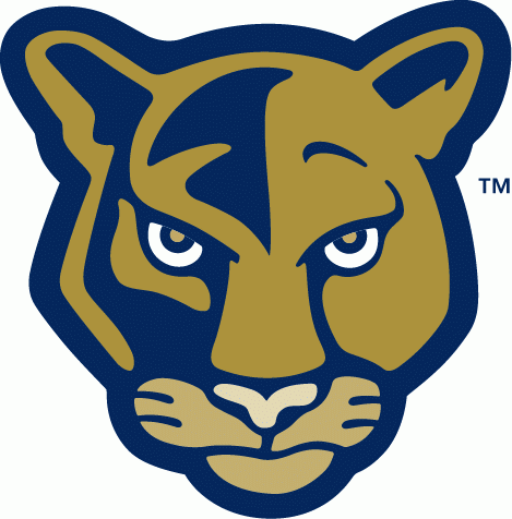 FIU Panthers 2001-2008 Alternate Logo v2 diy iron on heat transfer